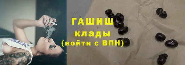амф Бородино