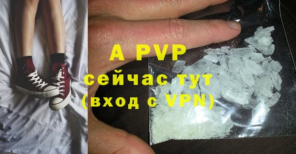 амф Бородино