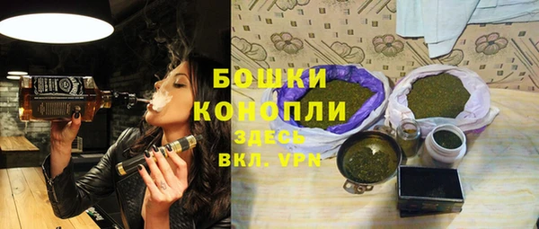 амф Бородино