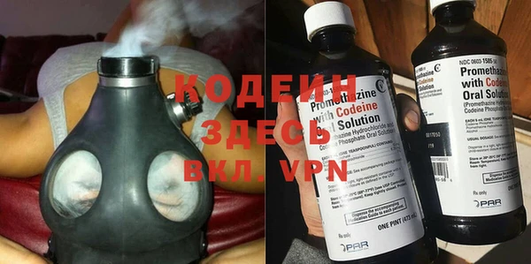 амф Бородино