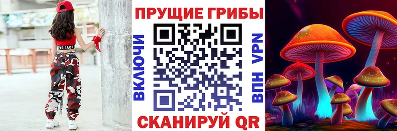 Псилоцибиновые грибы прущие грибы  Купить  Майский 